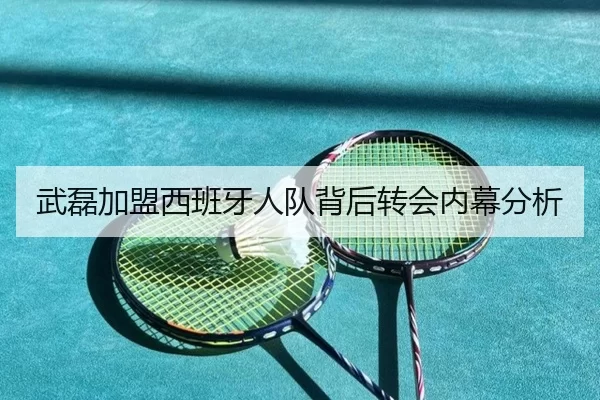 武磊加盟西班牙人队背后转会内幕分析